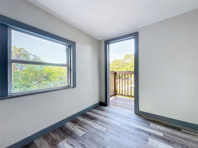 spare room featuring wood-type flooring and plenty of natural light