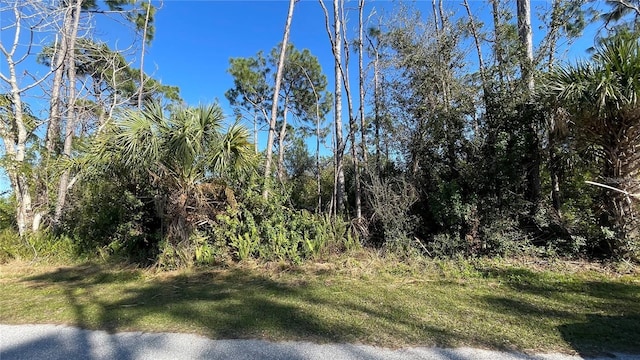 8082 Dimstead St, Port Charlotte FL, 33981 land for sale