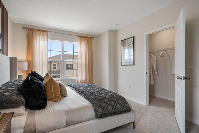 bedroom featuring carpet, a closet, and a walk in closet