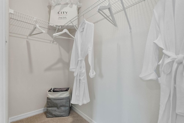 spacious closet featuring carpet flooring