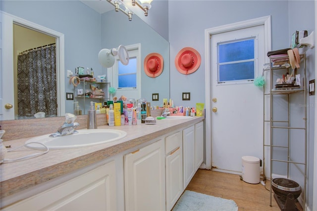 bathroom with wood-type flooring and vanity