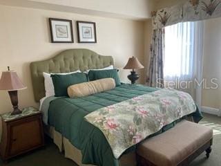 bedroom with carpet flooring