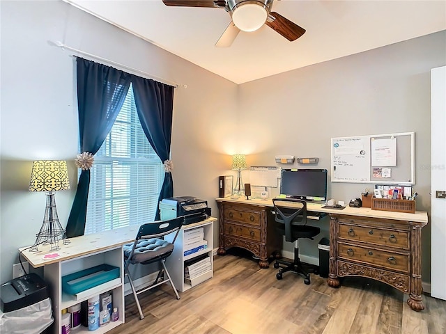 office featuring ceiling fan and light wood-type flooring