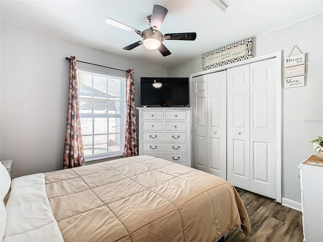 bedroom featuring ceiling fan, a closet, and dark hardwood / wood-style floors