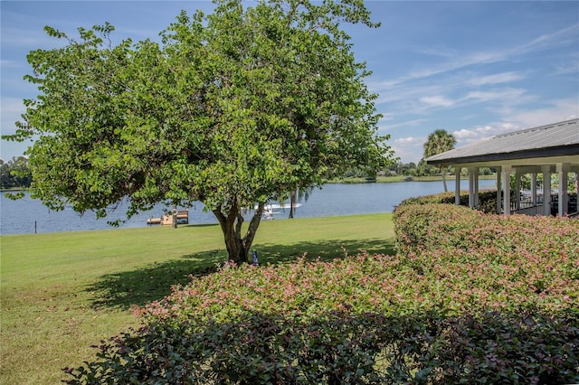 property view of water