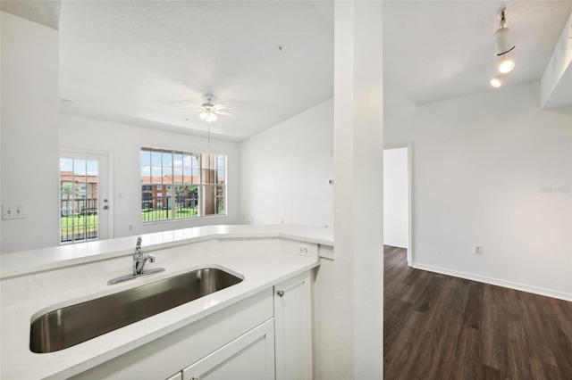 kitchen with white cabinetry, light countertops, dark wood-type flooring, and a sink