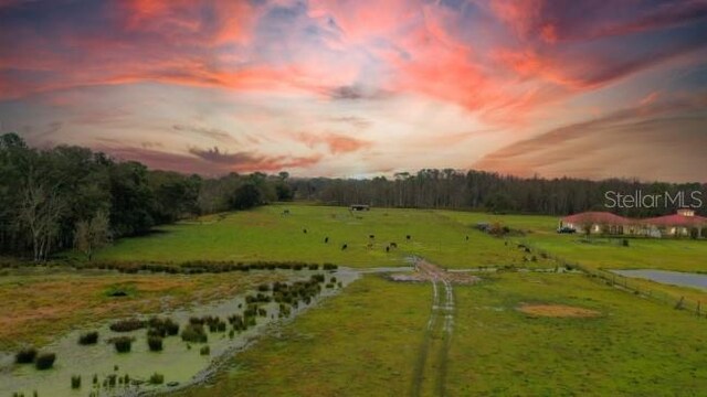 1850 Sloans Ridge Rd, Groveland, FL 34736 - photo 1