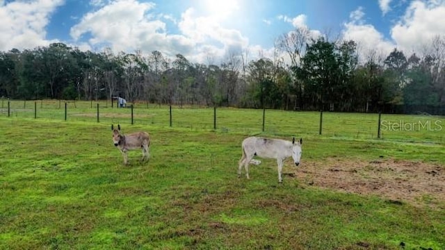 1850 Sloans Ridge Rd, Groveland, FL 34736 - photo 3