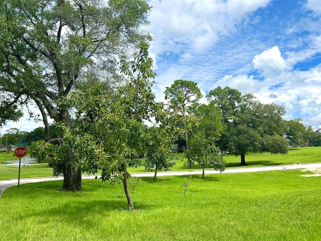 view of property's community with a yard