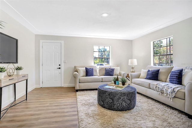 living room featuring light hardwood / wood-style floors