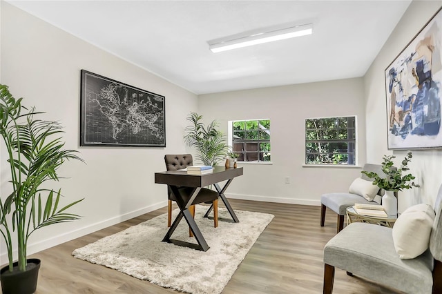 office featuring hardwood / wood-style flooring