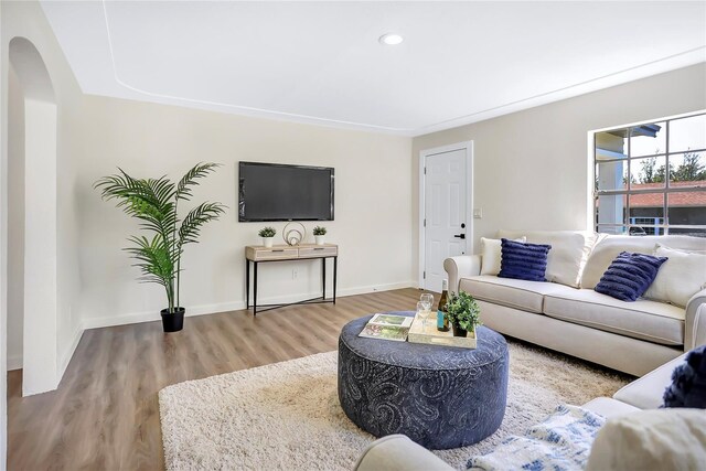 living room featuring hardwood / wood-style flooring