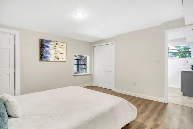 bedroom featuring multiple windows and hardwood / wood-style floors