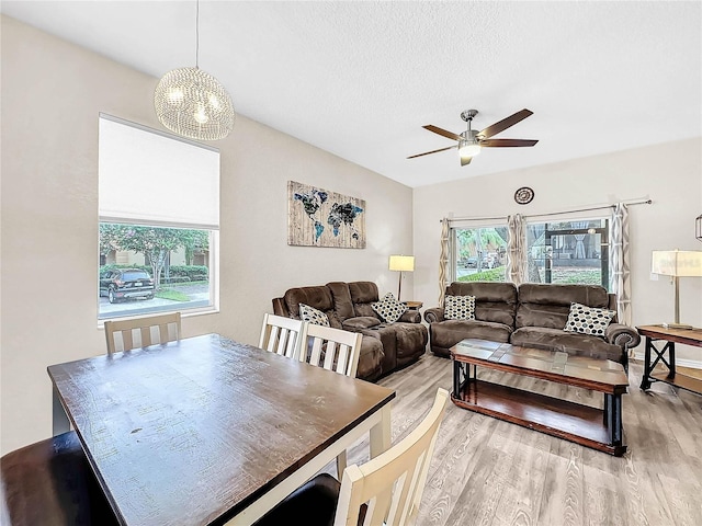 dining room featuring plenty of natural light, a textured ceiling, and light hardwood / wood-style flooring