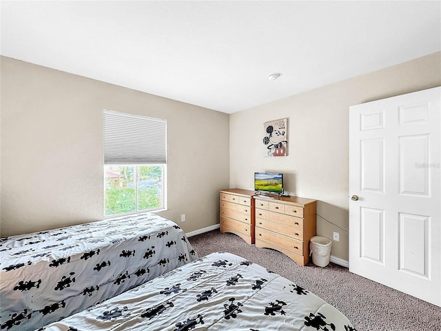 bedroom featuring carpet flooring