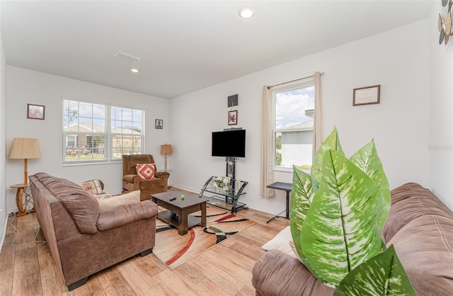 living room featuring light hardwood / wood-style floors and a wealth of natural light