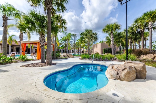 view of swimming pool with a patio area