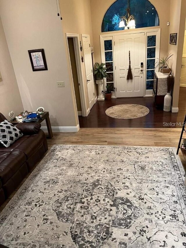 entrance foyer featuring hardwood / wood-style flooring and a high ceiling