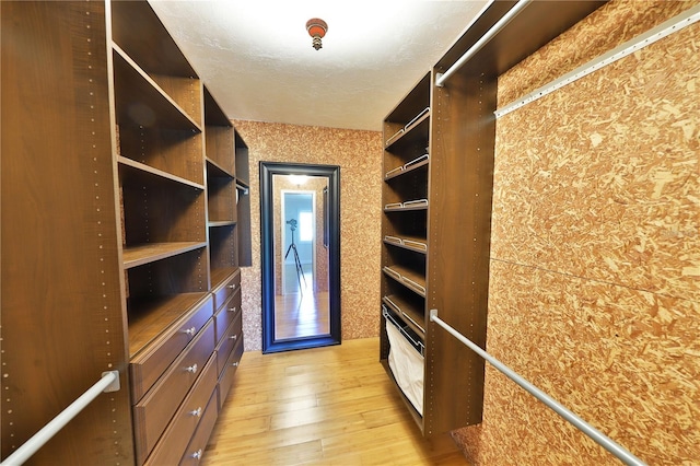 spacious closet with light hardwood / wood-style flooring