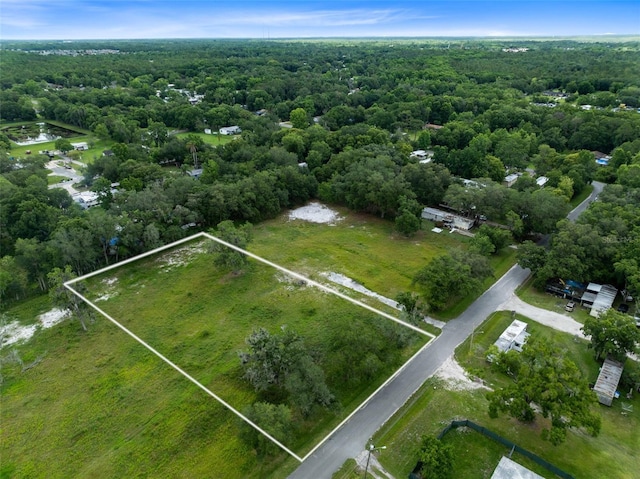 Wilson Rd, Orlando FL, 32833 land for sale