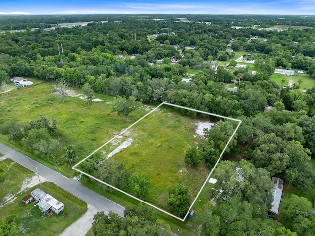 Wilson Rd, Orlando FL, 32833 land for sale