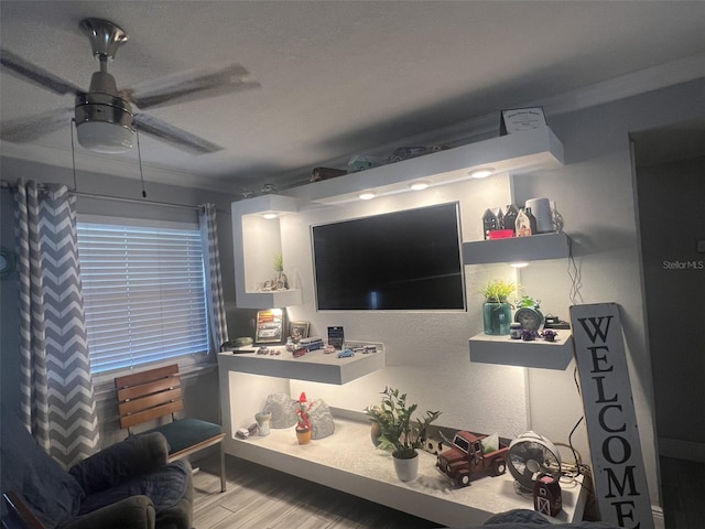 living room featuring ceiling fan and light wood-type flooring