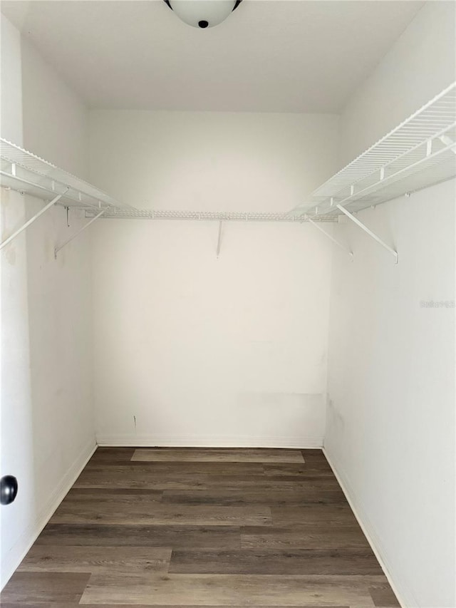 walk in closet featuring wood finished floors