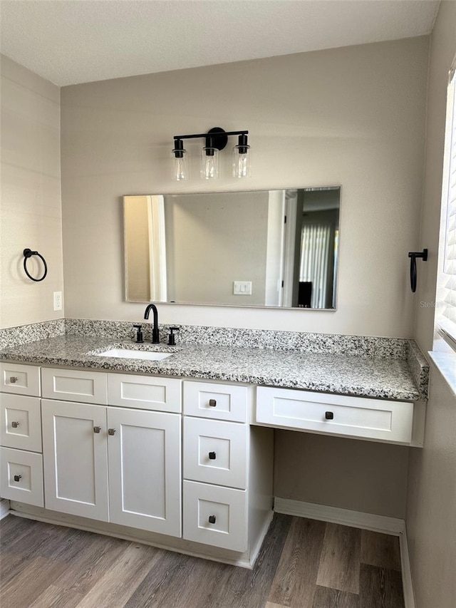 bathroom with wood finished floors and vanity