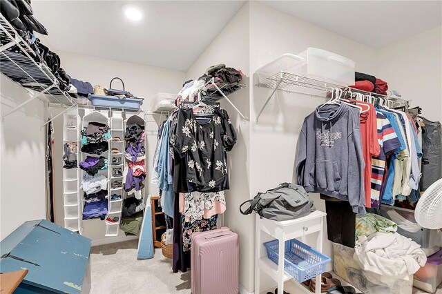 spacious closet with carpet and radiator