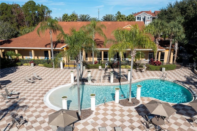 view of pool featuring a patio