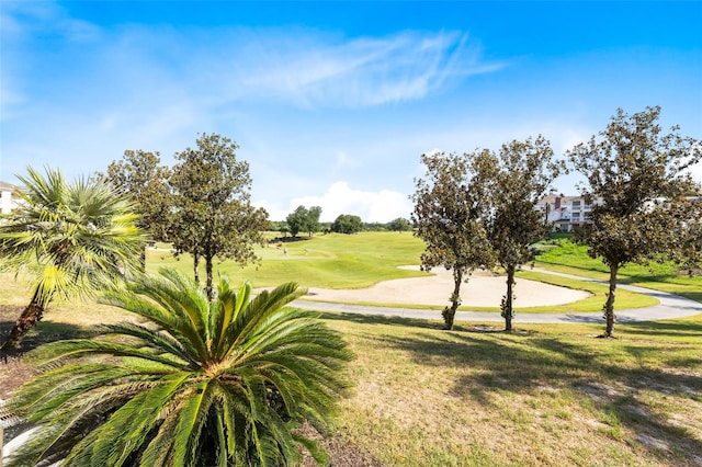 view of property's community featuring a lawn