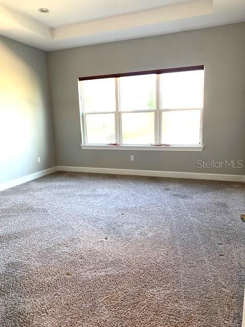 unfurnished room featuring carpet flooring and a tray ceiling