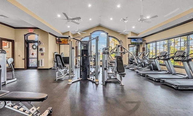 exercise room featuring vaulted ceiling and a wealth of natural light