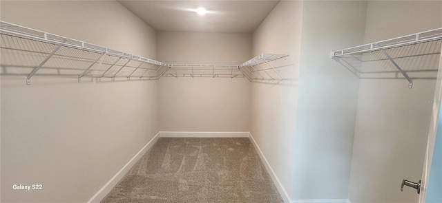 spacious closet featuring carpet