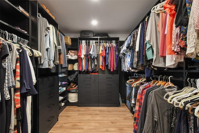 spacious closet featuring light wood-type flooring