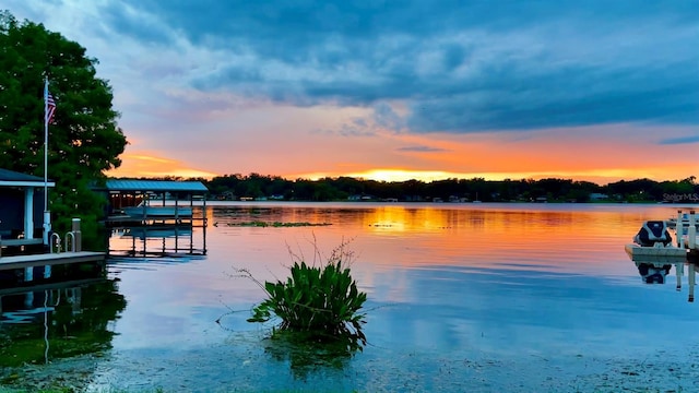 property view of water with a dock