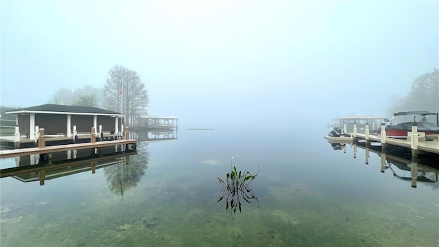 dock area with a water view