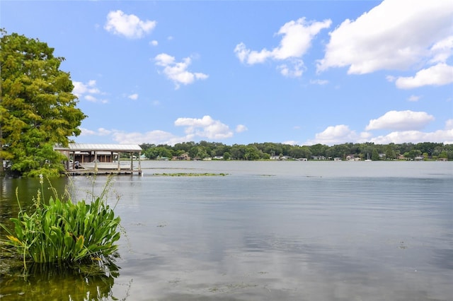 water view with a dock