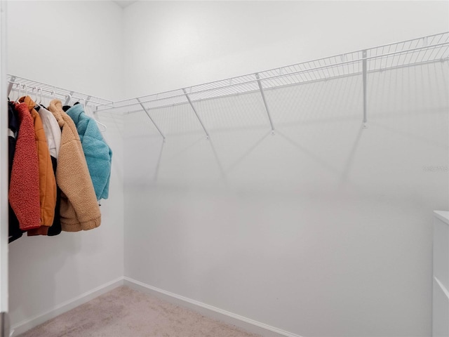 walk in closet with carpet