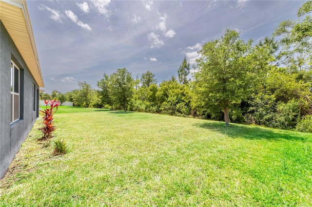 2950 Gibraltar Blvd, New Smyrna Beach, FL 32168 - view of yard