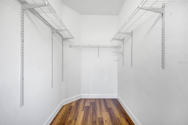 spacious closet with dark hardwood / wood-style flooring