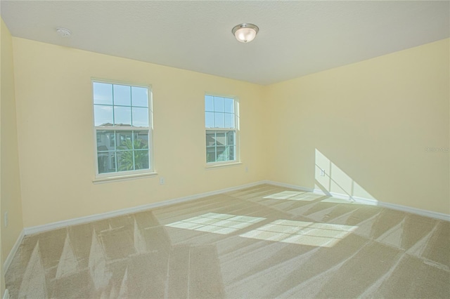 empty room featuring carpet floors