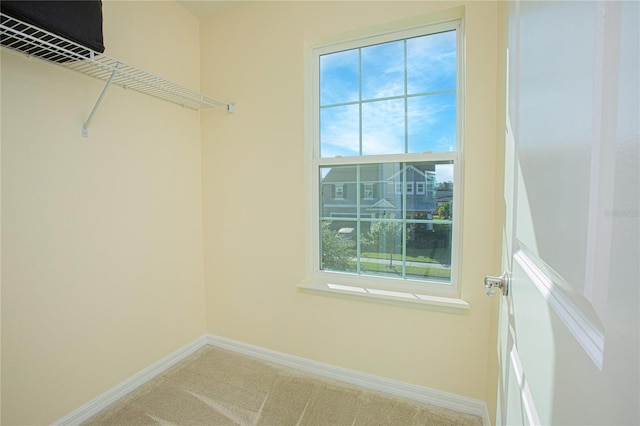 spacious closet with carpet floors