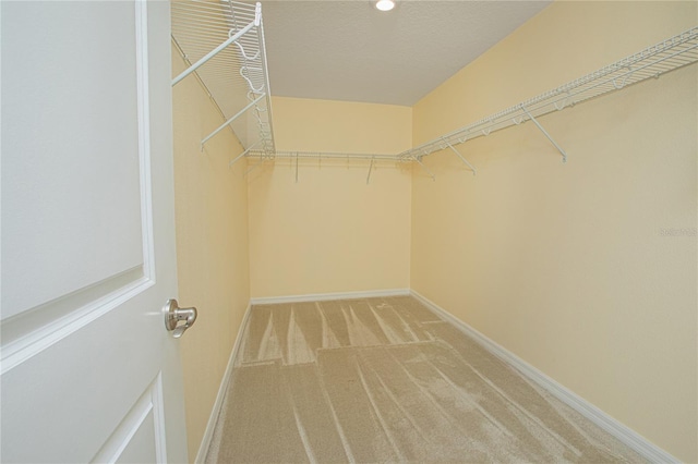 walk in closet with carpet flooring