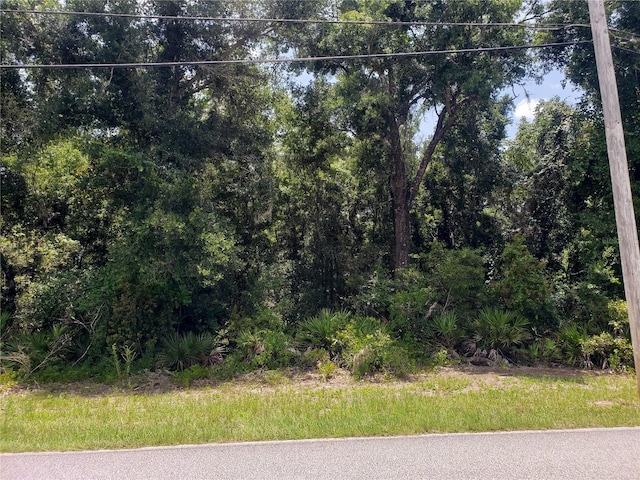 Listing photo 2 for Reynolds Rd, De Leon Springs FL 32130