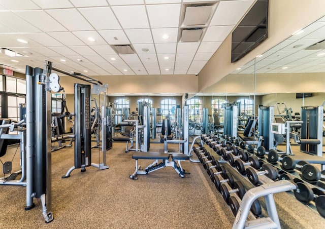 gym with carpet and a paneled ceiling