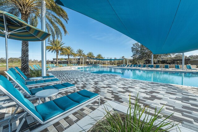 view of swimming pool with a patio area