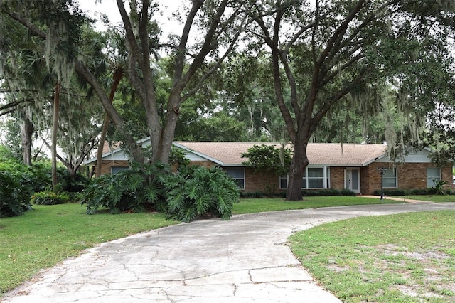 ranch-style house with a front yard