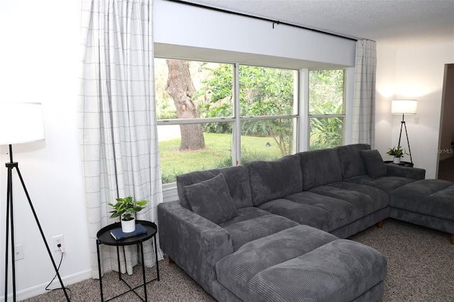 carpeted living room with a textured ceiling