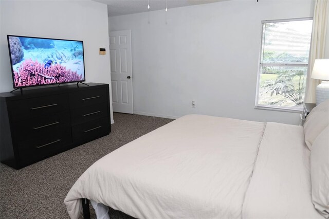 bedroom with dark colored carpet